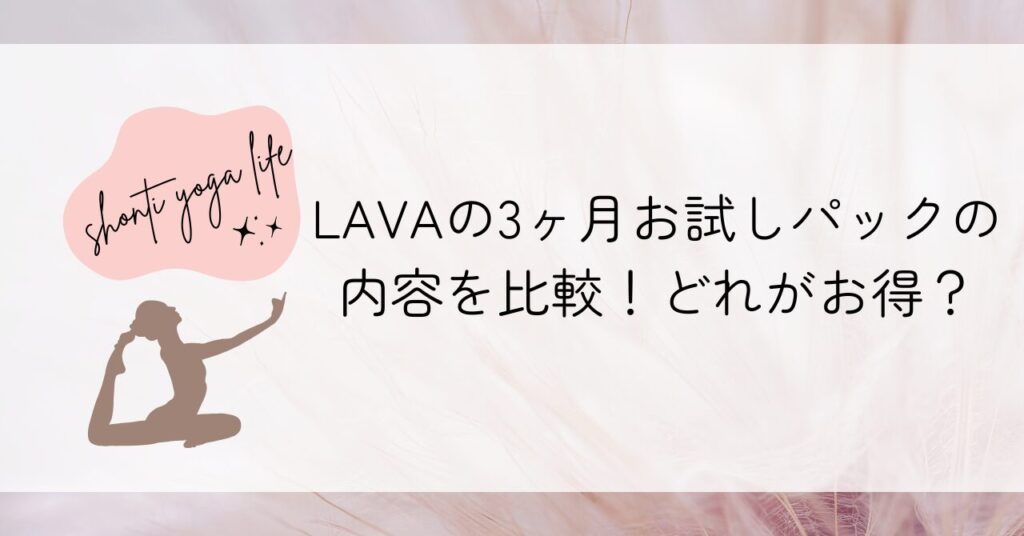 LAVAのお試し3ヶ月で始めるお得なプラン比較