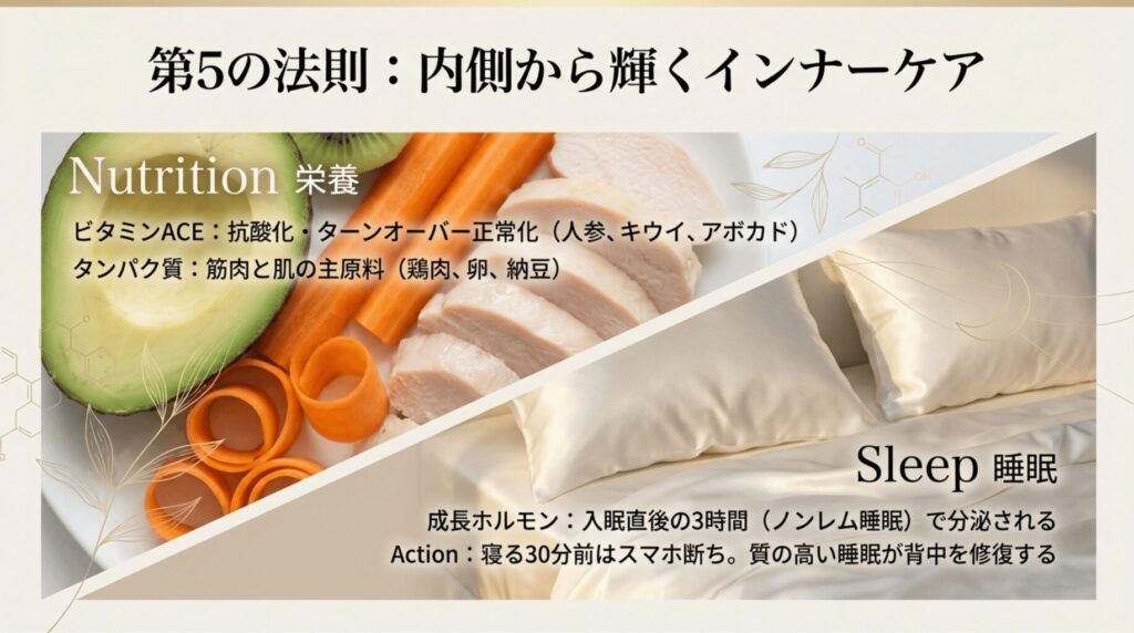 ビタミンACEとタンパク質の摂取、入眠直後3時間のノンレム睡眠の重要性についてのインナーケア解説。