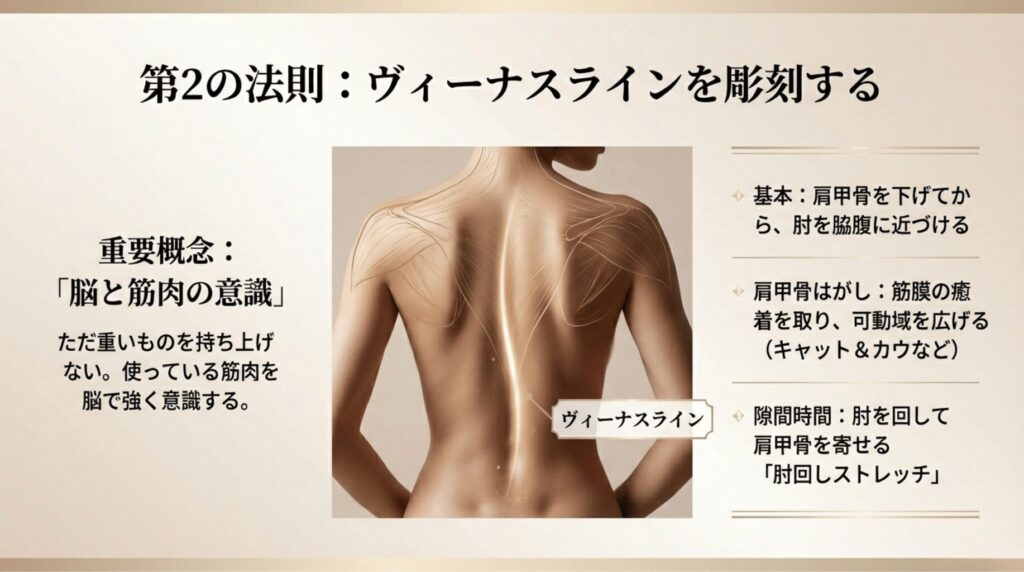 筋肉を脳で意識する大切さと、肘回しストレッチやキャット＆カウによる肩甲骨はがしの紹介。