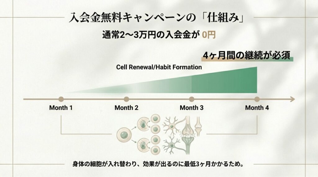 身体の細胞が入れ替わり効果が出るのに最低3ヶ月かかるため、4ヶ月の継続を推奨する仕組みの図解。